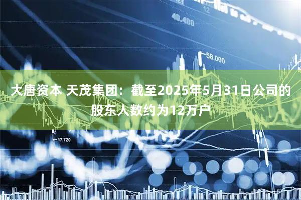 大唐资本 天茂集团：截至2025年5月31日公司的股东人数约为12万户