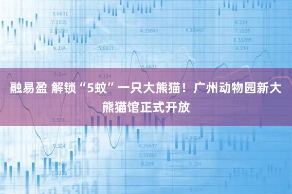 融易盈 解锁“5蚊”一只大熊猫！广州动物园新大熊猫馆正式开放