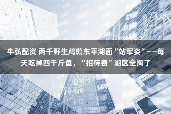 牛弘配资 两千野生鸬鹚东平湖面“站军姿”——每天吃掉四千斤鱼，“招待费”湖区全掏了